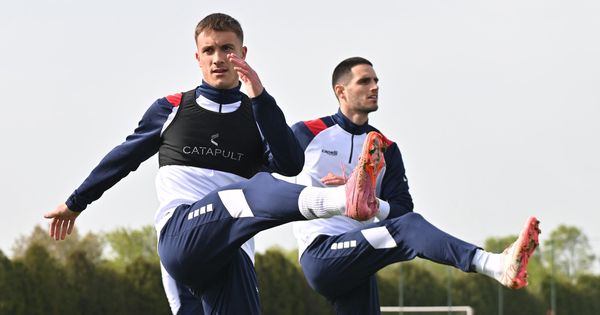 Veljko Paunović radi i kad drugi spavaju /GALERIJA/