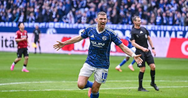 Zasenio i Stevana Jovetića: Prelazak Edina Džeka u Šalke najčudniji transfer u poslednjih 10 godina!