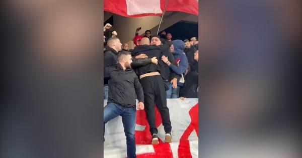 Stanković ne krije emocije: Trener Zvezde se popeo na severnu tribinu i proslavio pobedu sa navijačima