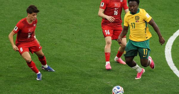 AUSTRALIJA – TURSKA Ludnica u Vankuveru: Kenguri šokirali Turke, pa preživeli stativu sa 30 metara!