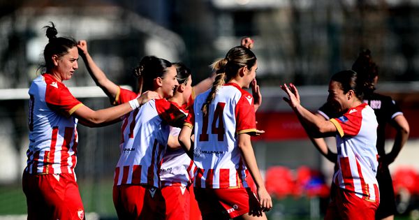 Zvezda nemilosrdna prema Napretku: Dominacija za polufinale Kupa!