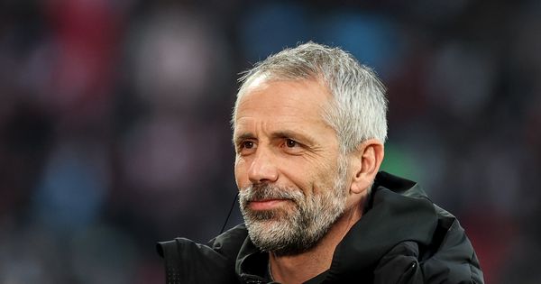 Milosavljević i Petrović dobijaju novog trenera: Nemac kog je eliminisala Zvezda dolazi u Bornmut!