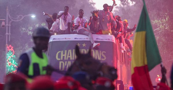 "Neka neki Marokanac pošalje ovakvu sliku!" Senegalci šalama odgovorili na skandal, oglasio se i bivši igrač Zvezde