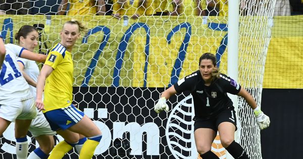 Minimalan poraz hrabre Srbije, nedostajalo malo sreće za bod: Švedska slavila u Stokholmu pred 20.000 ljudi! /VIDEO/