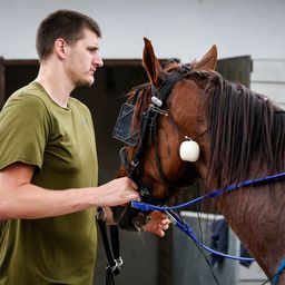 "Igrao se ćorave bake, završilo se povredom!" Jokić opisao najluđu priču iz detinjstva: Bugarska, šest igrača u jednoj sobi, šest u drugoj...