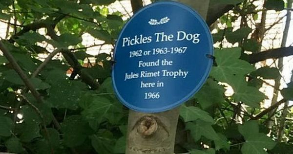 Epski blam Engleza: Pre tačno 60 godina ukraden trofej namenjen pobedniku Mundijala, pronašao ga Krastavčić!