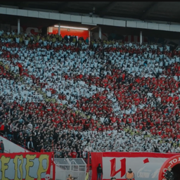 "Ne slušaj ih šta pričaju, nego dođi!" Ovo je Zvezda poručila svima: Kažu da smo dosadni /VIDEO/