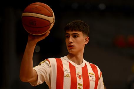 Srbija bez Alekseja Nedeljkovića, Zvezda objavila detalje o povredi