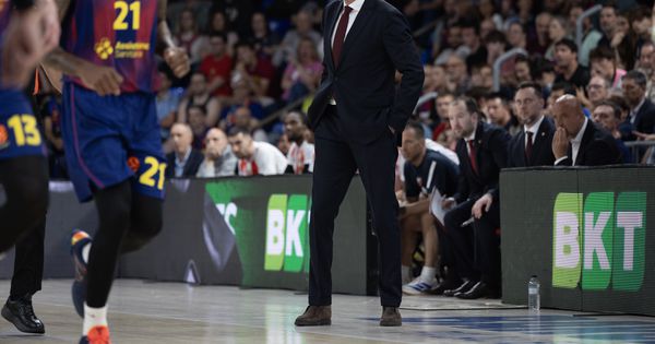 "Slučaj Ognjen Dobrić": Treba biti realan... to pitanje mora da se postavi Obradoviću!