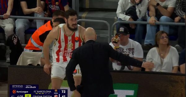 Zvezda isto veče ostala i "pronašla novog trenera": Kalinić izgleda ima novu ulogu na parketu pored Obradovića!