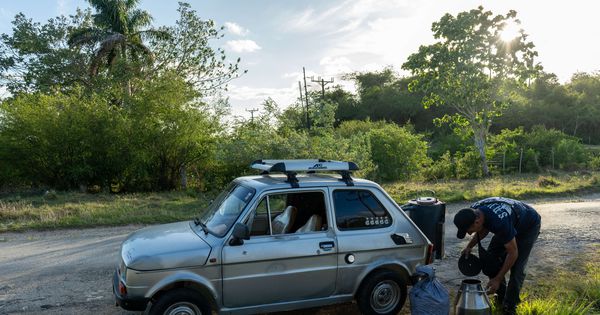 Paja i Jare na kubanski način! Peglica koja ide na ćumur: Huan Karlos loži vatru da bi stigao do njive, a usput može i da "baci roštilj"! /VIDEO/