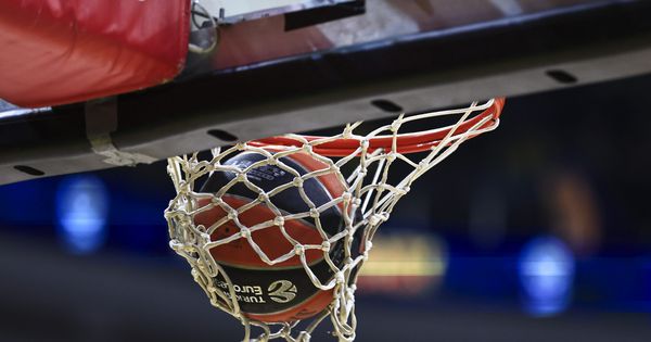 Partizan neće izaći na megdan Zvezdi: Ništa od Večitog derbija u nedelju!