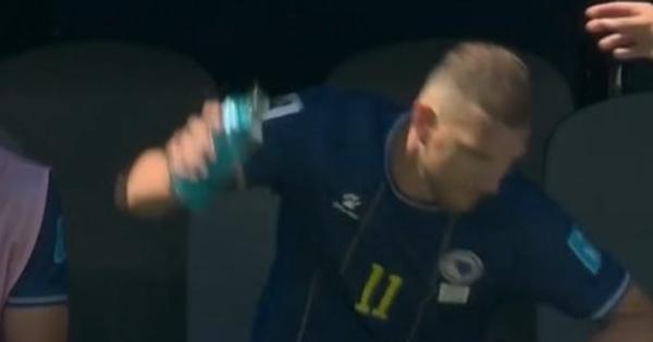 Haos u reprezentaciji Bosne i Hercegovine: Džeko izgubio živce, nasrnuo na saigrača, morao da ga smiruje čak i predsednik!