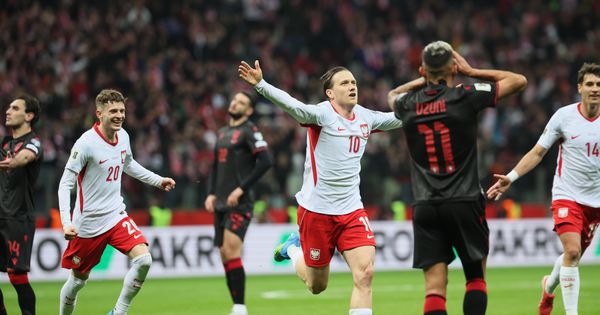 Poljaci preokrenuli Albance i zakazali duel sa Švedskom! /VIDEO/