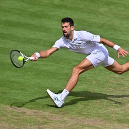 "Nadam se ja!" Sjajni odgovori tenisera na pitanje ko će osvojiti US open: Oktopod!