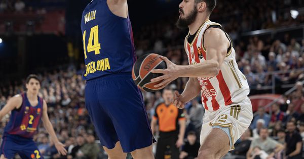 Kompjuter izračunao sudbinu Zvezde! Ko ide direktno u plej-of, a ko strepi za plej-in?