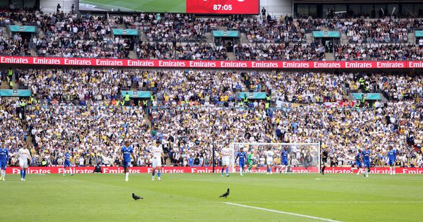 Sramota na Vembliju: Homofobno skandiranje navijača Lidsa, pristalice Čelsija provocirale pesmama o silovatelju dece!