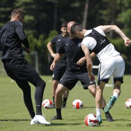 Gnu i lavica, zujanje drona i ševa sa trenerom! SPORTAL SA PARTIZANOM: Evo ko više voli da provuče kroz noge nego 'leba da jede