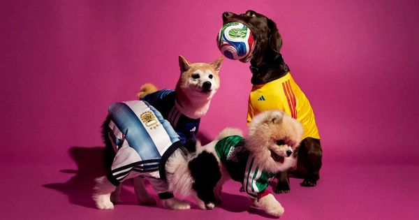 Bizarno ili kreativno? Adidas predstavio dresove namenjene psima za Svetsko prevenstvo u fudbalu