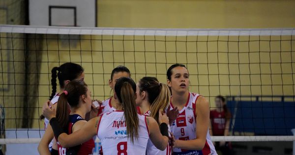 Zvezda srušila lidera u poslednjem kolu! Beograd opstao u Superligi