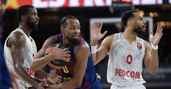 EVROLIGA Zvezda pomno prati rezultate u Monte Karlu i Sarajevu!