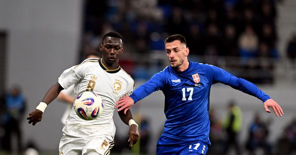 Srbija dočekala Saudijsku Arabiju u Topoli! /GALERIJA/