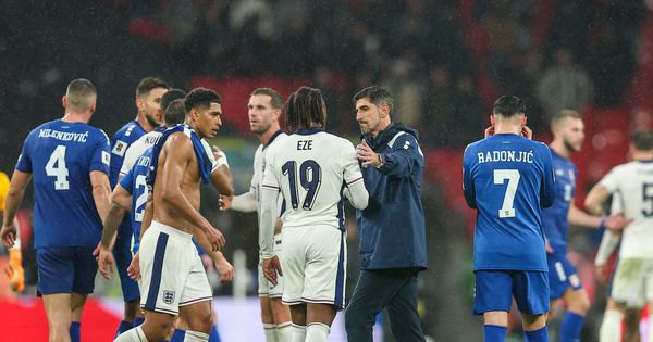 Stranac u Srbiji? Ne, osim ako nije kao Eduardo u Hrvatskoj! Glas našeg stručnjaka iz Amerike: Paunović može da ukrade, ali...