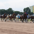Ilyen volt a Kincsem Parkban rendezett Magyar Ügetőderby – Galéria