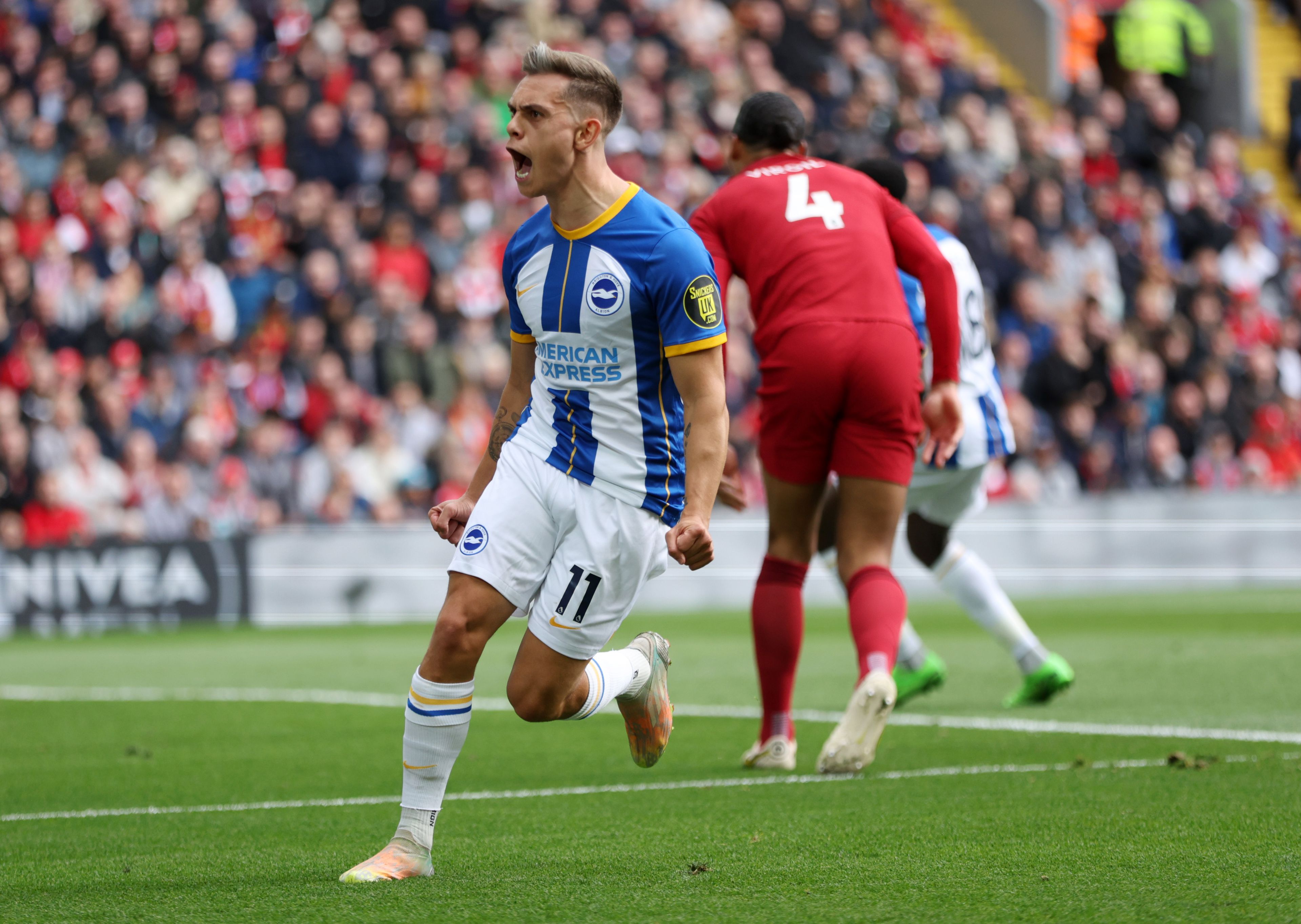 A mesterhármasig jutó Leandro Trossard (Fotó: Getty Images)