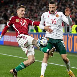 Megvan a magyar válogatott csoportellenfelének új szövetségi kapitánya