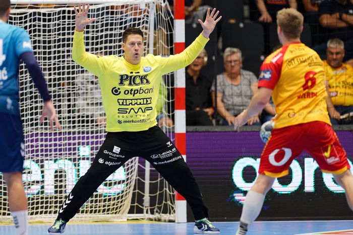 Mikler legutóbb a januári vb-n szerepelt a válogatottban