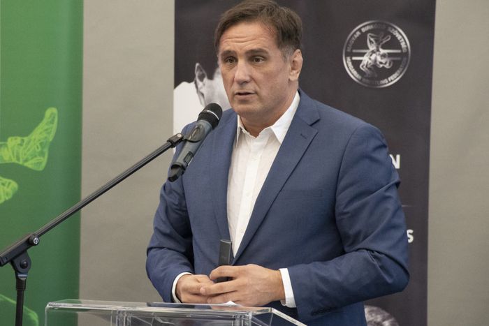 Bacsa Péter szerint a birkózóknak hat-hét súlycsoportban van még reális esélyük kvótaszerzésre