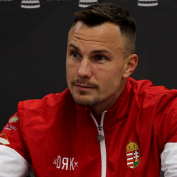 Fucsovics Márton: „Meg akartam mutatni a szurkolóknak, hogy még van bennem” – videóval