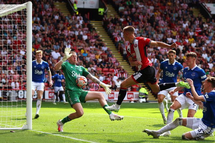 Jordan Pickford a peches öngólja után sokat tett azért, hogy meglegyen az Everton első pontja