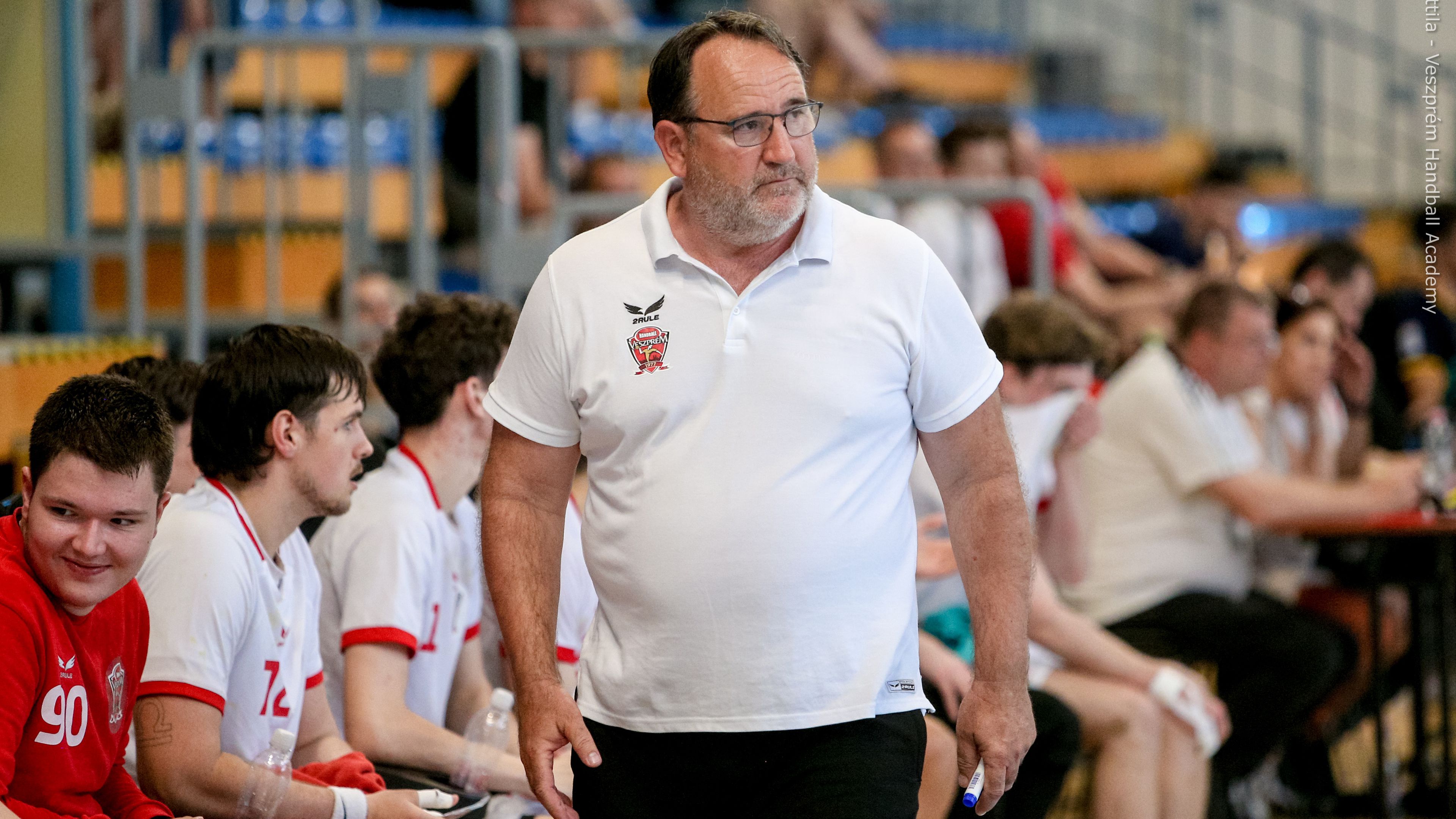 Gulyás István lett a Veszprém Kézilabda Akadémia szakmai igazgatója (Fotó: veszpremhandballacademy.hu)