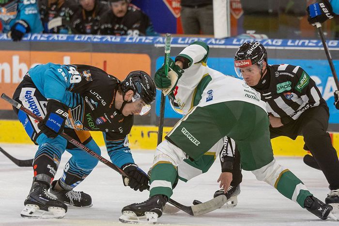 Újabb vereség (Fotó: fradi.hu)