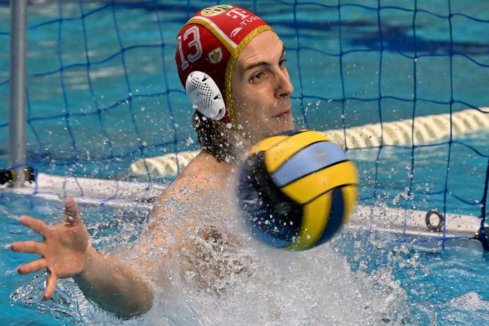 Vogel Soma - Fotó: MTI/Illyés Tibor