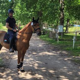 Újabb magyar sportoló szerzett olimpiai kvótát
