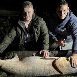 Ijesztő halszörnyet fogott a magyar sporthorgász – videóval