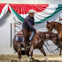 Magyar sikerek a nemzetközi westernlovas versenyen