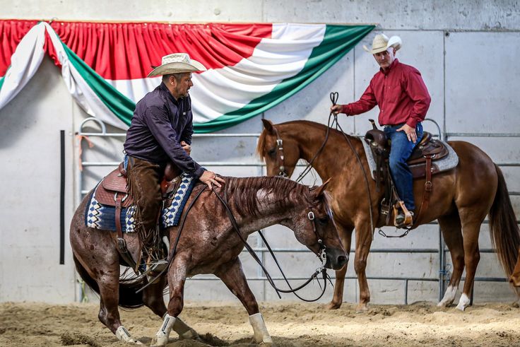 Magyar sikerek a nemzetközi westernlovas versenyen