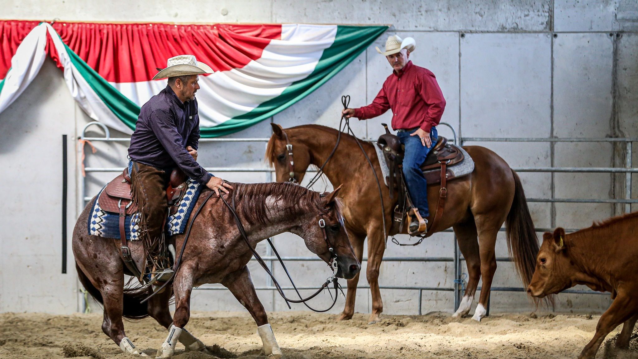 Magyar sikerek a nemzetközi westernlovas versenyen (Fotó: Western Sport Photography)