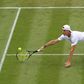 A döntő játszma előtt félbeszakadt Fucsovics Monfils elleni meccse Wimbledonban