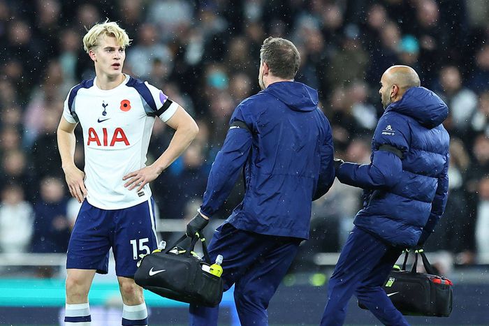 Lucas Bergvall agyrázkódást szenvedett, két mérkőzést kell kihagynia