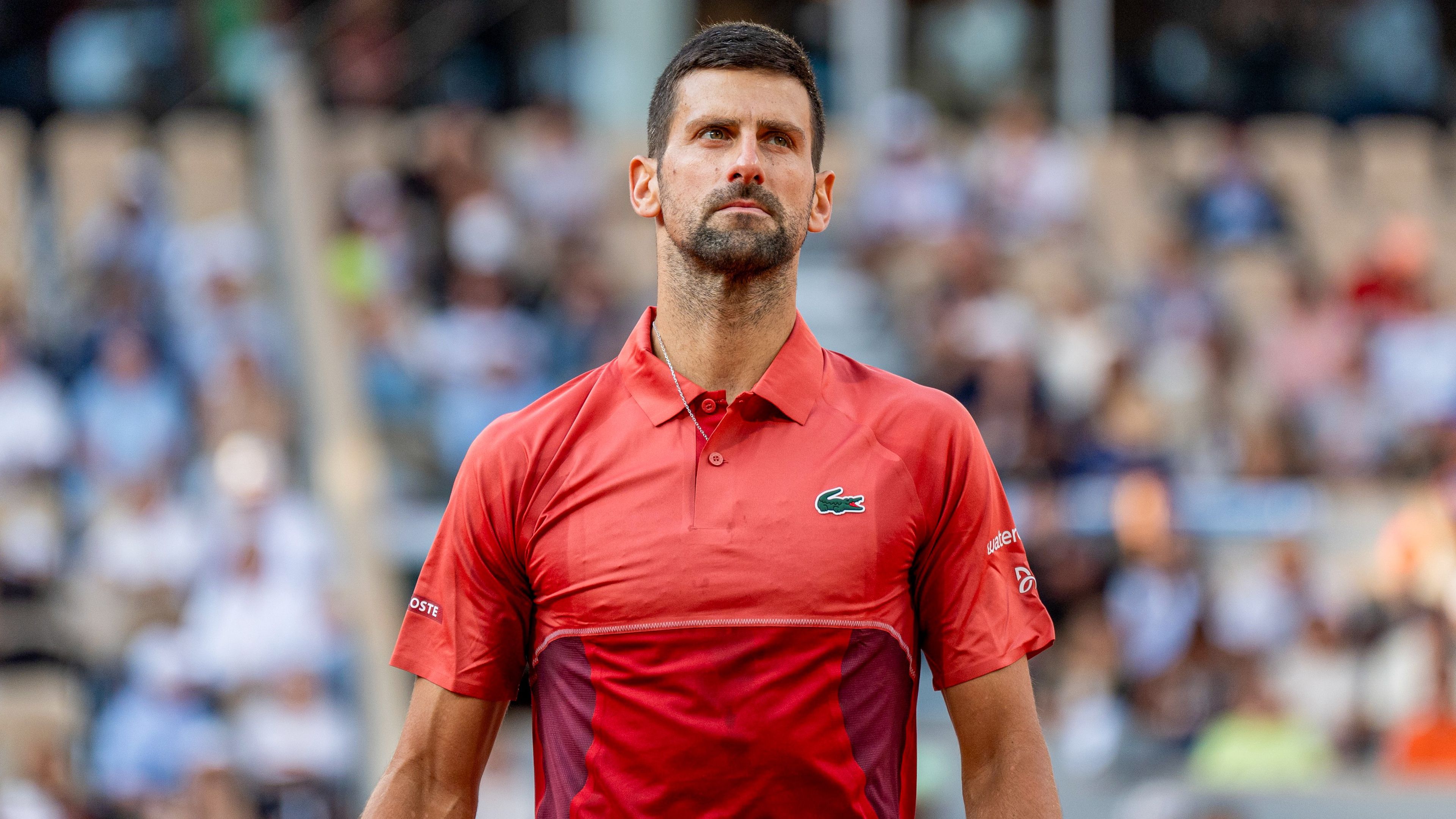 Djokovics visszalépett a Roland Garrostól, új világelső lesz