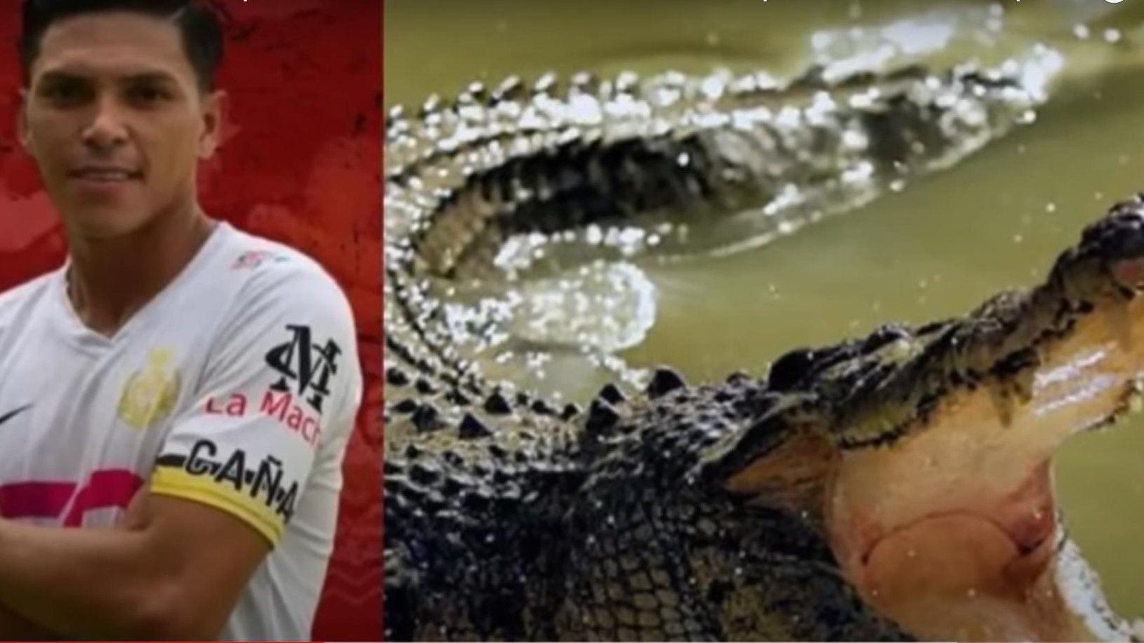 Gyerekei szeme láttára ölte meg a krokodil a meccs után a futballistát – +18-as videóval