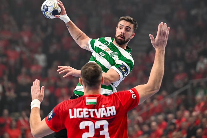 Győzelemmel zárta a Veszprém az év utolsó BL-fordulóját (Fotó: MTI)