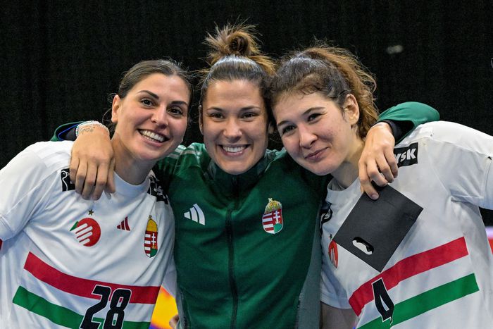 A Japán elleni mérkőzés pénteken 18 órakor kezdődik a rotterdami Ahoyban (Fotó: MTI)