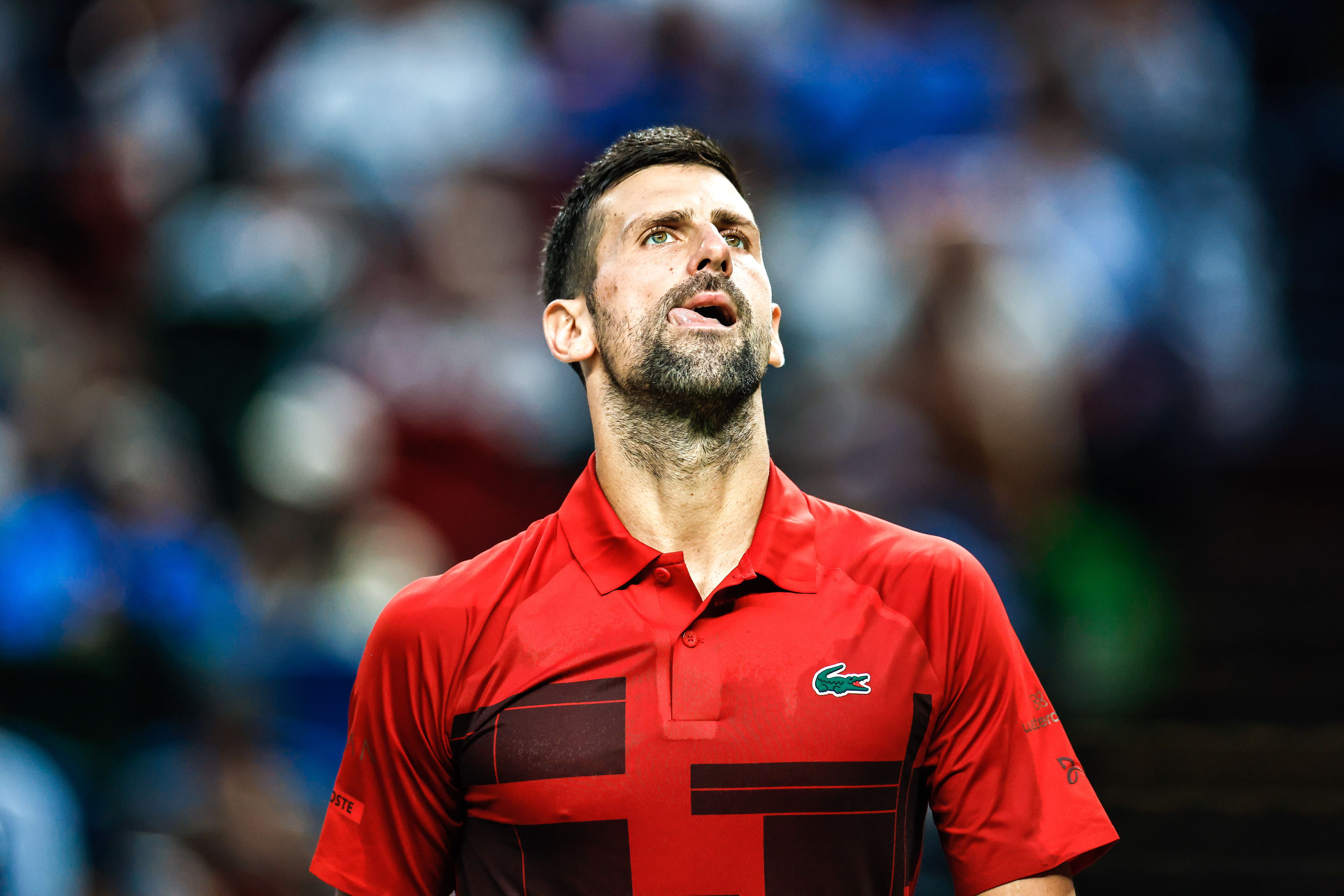 Novak Djokovics kihagyja az ATP-világbajnokságot