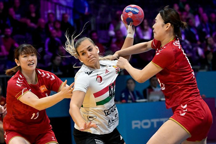 Az Európa-bajnoki bronzérmes kézilabda-válogatott biztosította helyét a negyeddöntőben (Fotó: MTI)